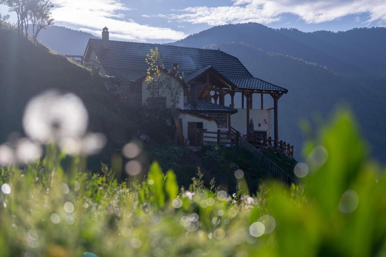 Zeneli Alpin Chalet Cerem Exteriér fotografie
