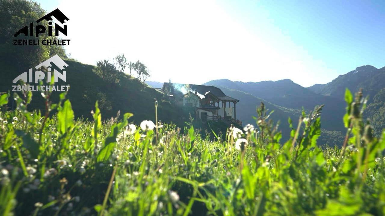 Zeneli Alpin Chalet Cerem Exteriér fotografie